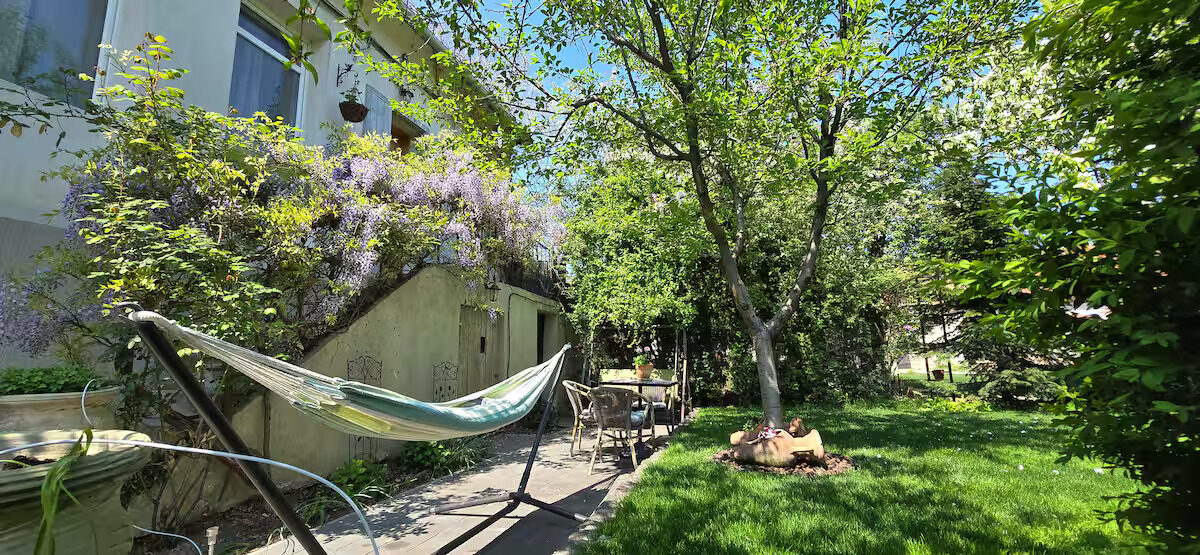 Hammock and garden with wisteria