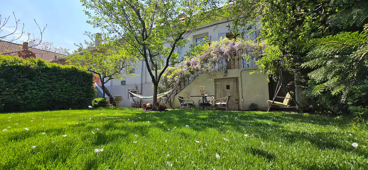 House facade covered in blooming wisteria